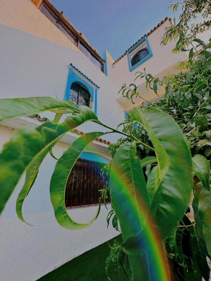 Auberge Dalia Chefchaouen Bagian luar foto