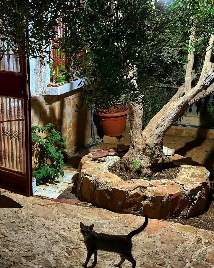 Auberge Dalia Chefchaouen Bagian luar foto